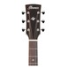 Ibanez AVD10E Artwood Vintage Acoustic 2018, Natural High Gloss headstock