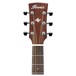 Ibanez AW65 Artwood 2018, Low Gloss headstock
