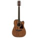 Ibanez AW54CE Artwood, Open-Pore Natural front