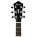 Ibanez AEG10II Electro Acoustic 2018, Black headstock