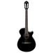 Ibanez AEG10NII Nylon String 2018, Black front view