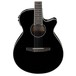 Ibanez AEG10NII Nylon String 2018, Black front view close up