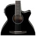 Ibanez AEG10NII Nylon String 2018, Black front sound hole