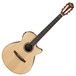 Ibanez AEG10NII Nylon String 2018, Natural