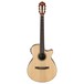 Ibanez AEG10NII Nylon String 2018, Natural front view