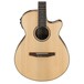 Ibanez AEG10NII Nylon String 2018, Natural front close up