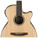 Ibanez AEG10NII Nylon String 2018, Natural sound hole