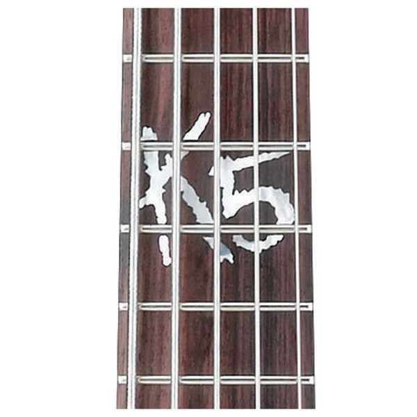 Ibanez K5 Fieldy 5 String Bass 2018, Black Flat fingerboard inlay