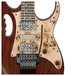 Ibanez JEM77WDP Steve Vai Premium 2018, Charcoal Brown pickups and controls