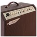Ashdown Woodsman Jumbo Acoustic Amplifier