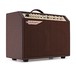 Ashdown Woodsman Jumbo Acoustic Amplifier