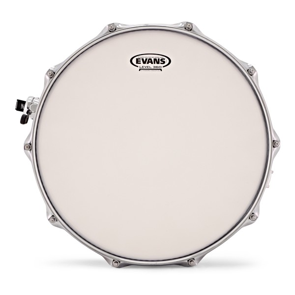 Natal Café Racer 14'' x 6.5'' Snare Drum, Ebony Pinstripe Veneer
