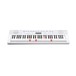 Casio LK-247 Key Lighting Keyboard