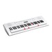 Casio LK-247 Key Lighting Keyboard