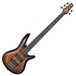 Ibanez SR405EQM 5 String Bass 2018, Dragon Eye Burst