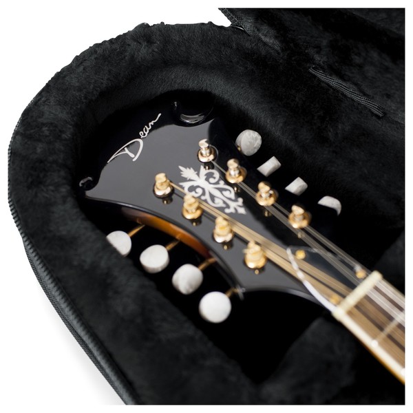 Gator GL-MANDOLIN Rigid EPS Mandolin Case, Interior Close-Up