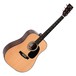 Sigma DM-1ST+ Acoustic Guitar, Natural Front View