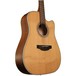 Takamine GD20CE-NS Electro Acoustic Guitar, Natural