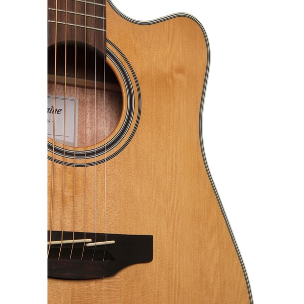 Takamine GD20CE-NS Electro Acoustic Guitar, Natural