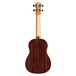 Cordoba 32T Tenor Ukulele