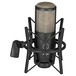 AKG P220 Large Diaphragm Condenser Microphone - Mounted