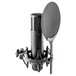 SE2200 Large-Diaphragm Condenser Microphone - Angled