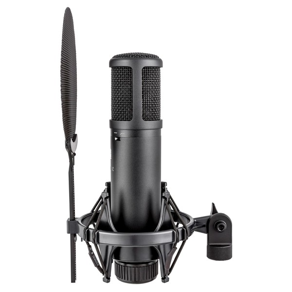sE Electronics SE2200 Large-Diaphragm Condenser Microphone at