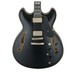 Ibanez JSM20, Black