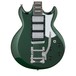 Ibanez AX230T, Forest