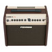 Fishman Loudbox Mini Amplifier