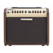 Fishman Loudbox Mini Amplifier