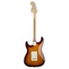 Squier Standard Stratocaster FMT, Amber Transparent rear view