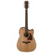 Ibanez AVD9CE Artwood Vintage 2018, Natural High Gloss front view