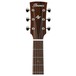 Ibanez AVD9CE Artwood Vintage 2018, Natural High Gloss headstock