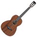 Ibanez AVN9 Artwood 2018, Natural Open Pore