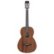 Ibanez AVN9 Artwood 2018, Natural Open Pore front view
