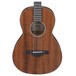Ibanez AVN9 Artwood 2018, Natural Open Pore front close up view