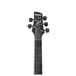 GWB35 Gary Willis Fretless 5-String Bass 2018, Black Flat