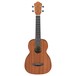 Ibanez UKC10 Concert Ukulele 2018, Sapele front