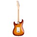 Fender American Pro Stratocaster HSS MN, Sienna Sunburst rear