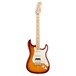 Fender American Pro Stratocaster HSS MN, Sienna Sunburst front