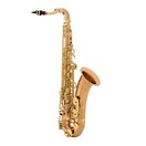 Yanagisawa TWO20 Tenor Saxophone, Bronze Body