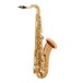 Yanagisawa TWO20 Tenor saxofón, bronzový telo