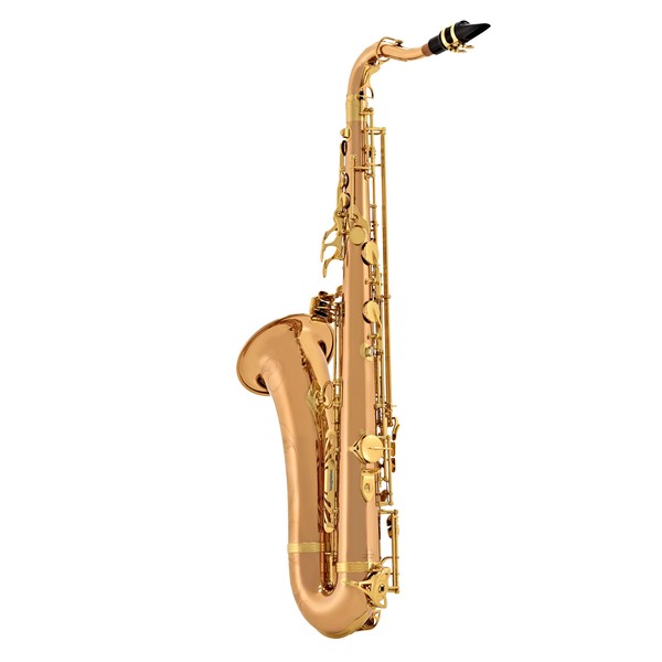 Yanagisawa TWO20 Tenor Saxophone, Bronze Body