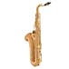 Yanagisawa TWO20 Tenor Saxophone, Bronze Body