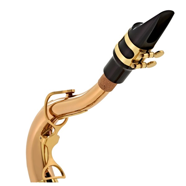 Yanagisawa TWO20 Tenor Saxophone, Bronze Body