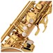 Yanagisawa TWO20 Tenor Saxophone, Bronze Body