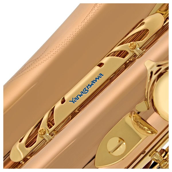 Yanagisawa TWO20 Tenor Saxophone, Bronze Body