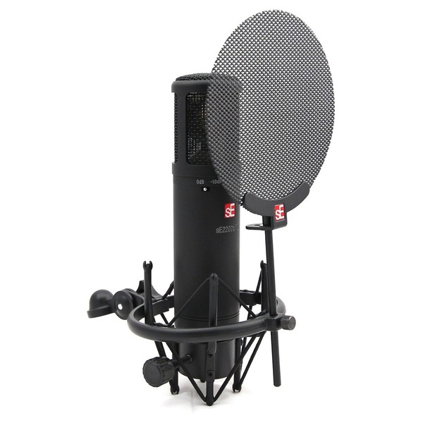 sE Electronics sE2200a II Multi Pattern Condenser Microphone - Angled