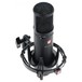 sE2200a Condenser Microphone - Angled Top